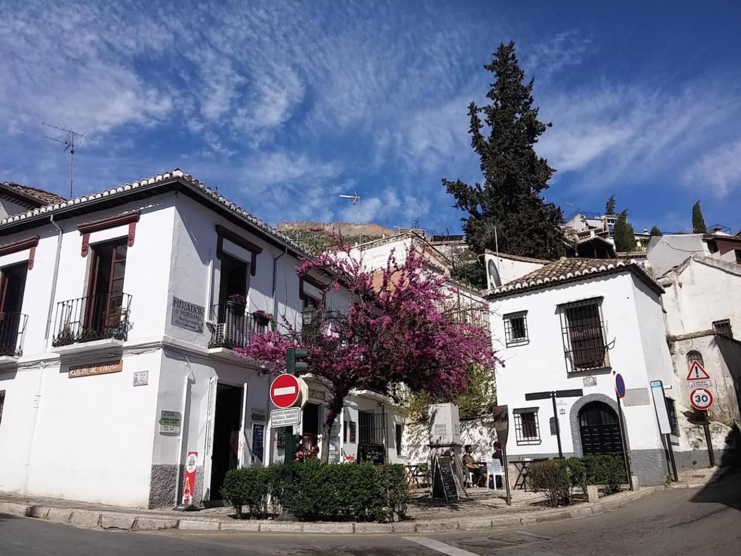 شقة Charming Albaicin Patio Flat Free Onsite Parking غرناطة المظهر الخارجي الصورة
