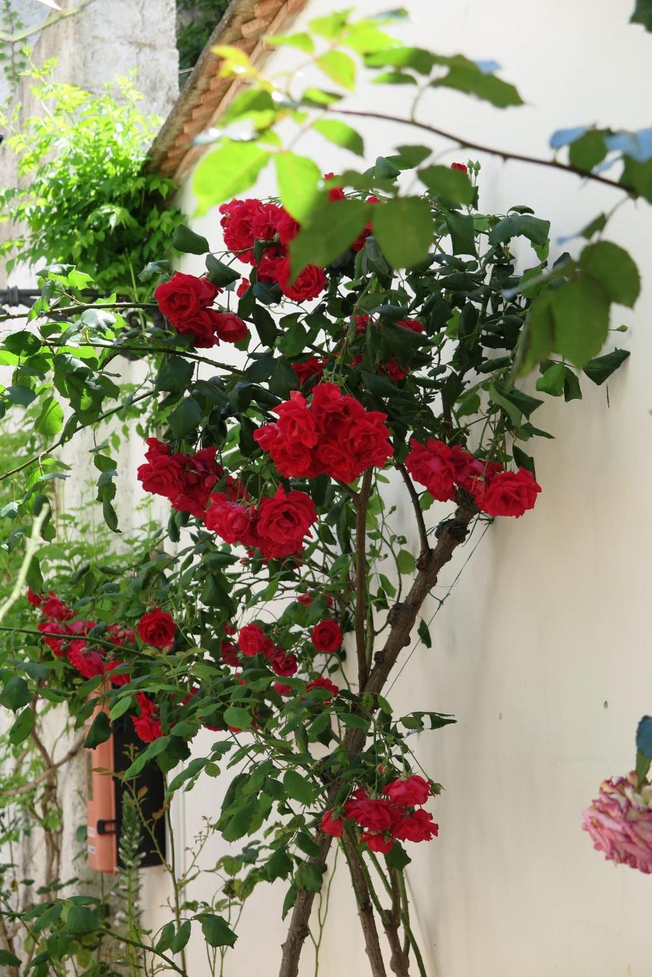 شقة Charming Albaicin Patio Flat Free Onsite Parking غرناطة المظهر الخارجي الصورة