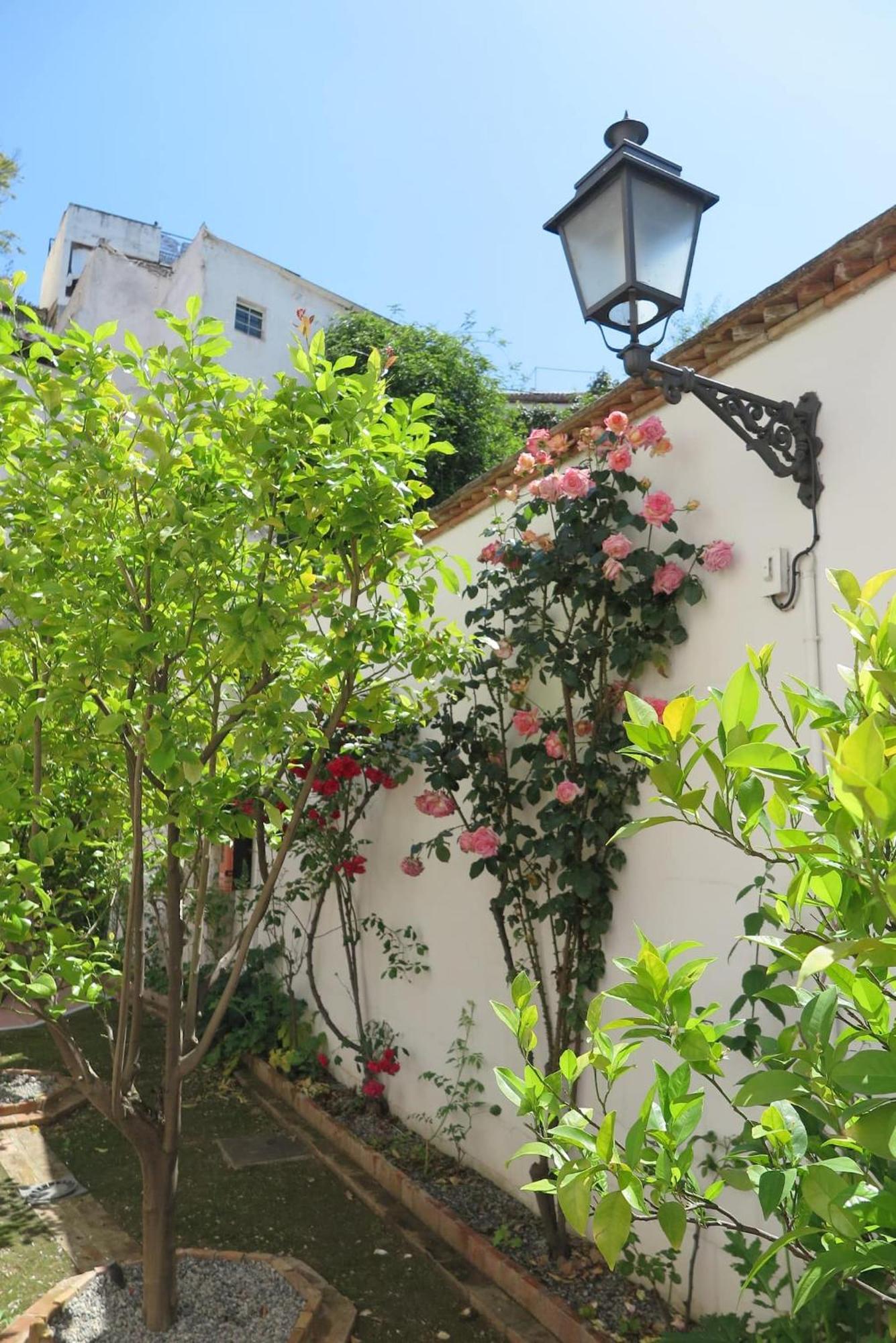 شقة Charming Albaicin Patio Flat Free Onsite Parking غرناطة المظهر الخارجي الصورة