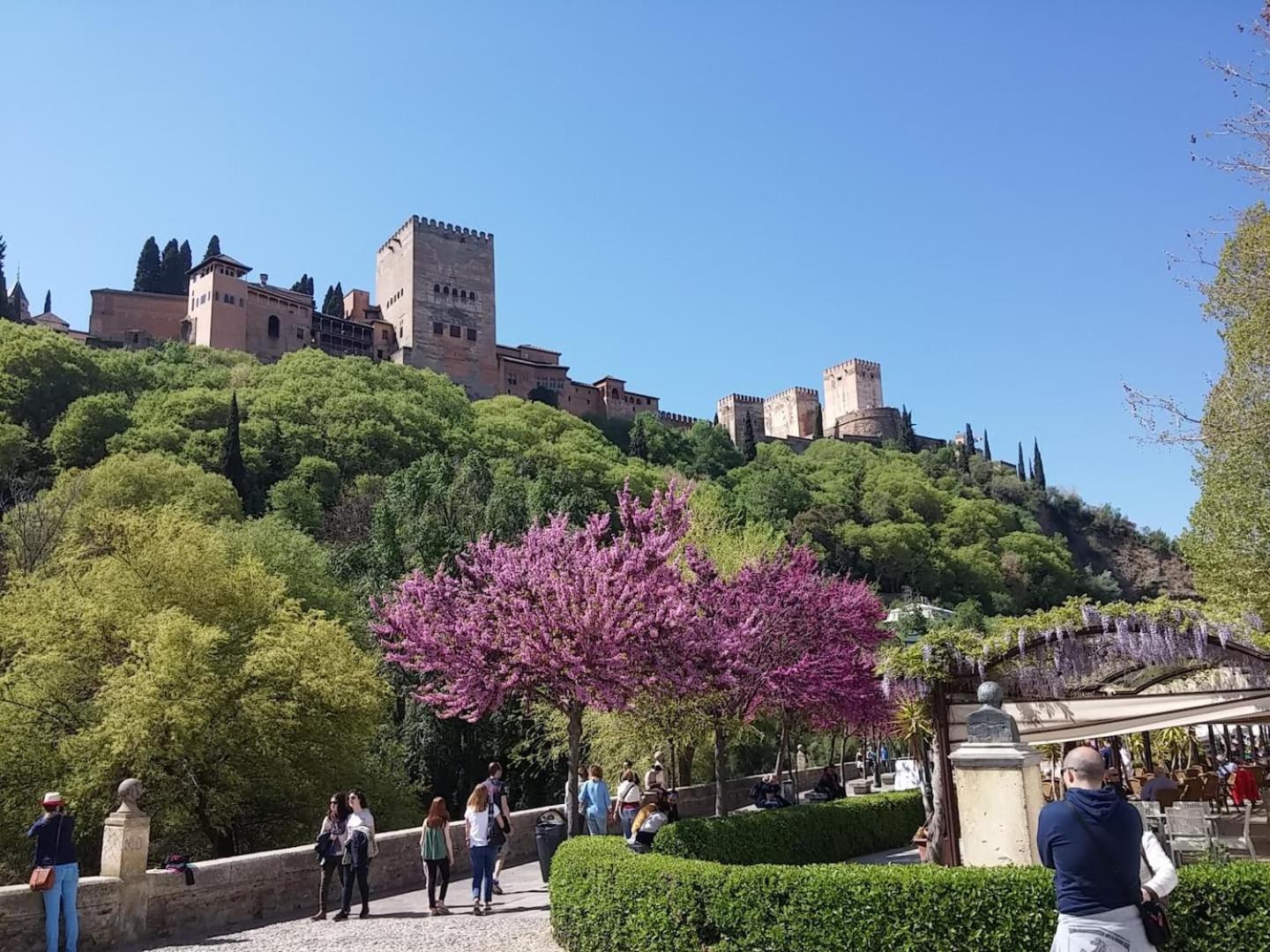 شقة Charming Albaicin Patio Flat Free Onsite Parking غرناطة المظهر الخارجي الصورة